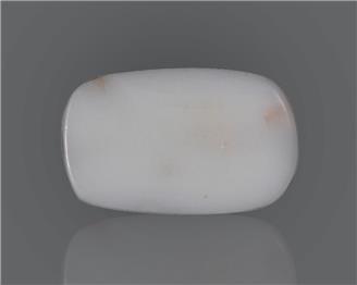 Natural White Coral  13.59 CTS (50207)